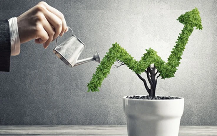 Eficacia y Eficiencia